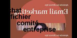 achat fichier comit&eacute; entreprise