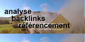 analyse backlinks référencement