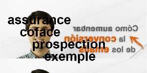 assurance coface prospection exemple