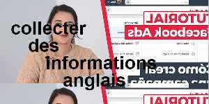 collecter des informations anglais