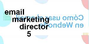 email marketing director 5