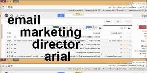 email marketing director arial