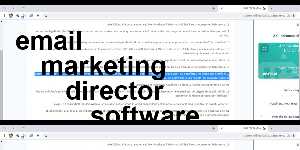 email marketing director software