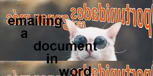 emailing a document in word 2007
