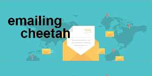 emailing cheetah