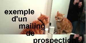 exemple d'un mailing de prospection