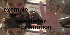 exemple de newsletter promotion