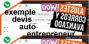 exemple devis auto entrepreneur