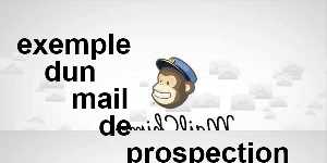 exemple dun mail de prospection