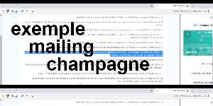 exemple mailing champagne