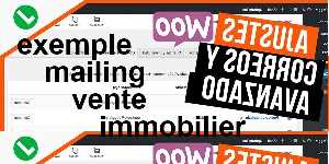 exemple mailing vente immobilier