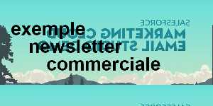 exemple newsletter commerciale