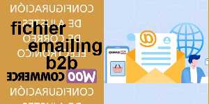 fichier emailing b2b