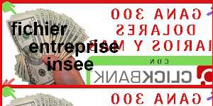 fichier entreprise insee