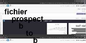 fichier prospect b to b