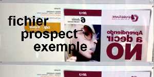 fichier prospect exemple