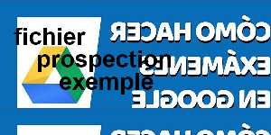 fichier prospection exemple