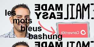les mots bleus bashung
