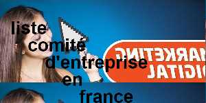 liste comit&eacute; d'entreprise en france