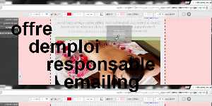 offre demploi responsable emailing
