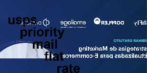 usps priority mail flat rate mailing envelope